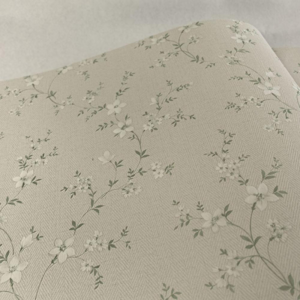 Alessandro Allori Bruni RBN 1001-1