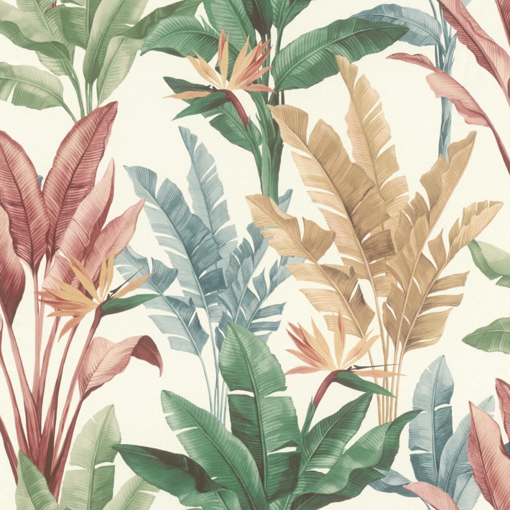 Rasch Allegretto 793512