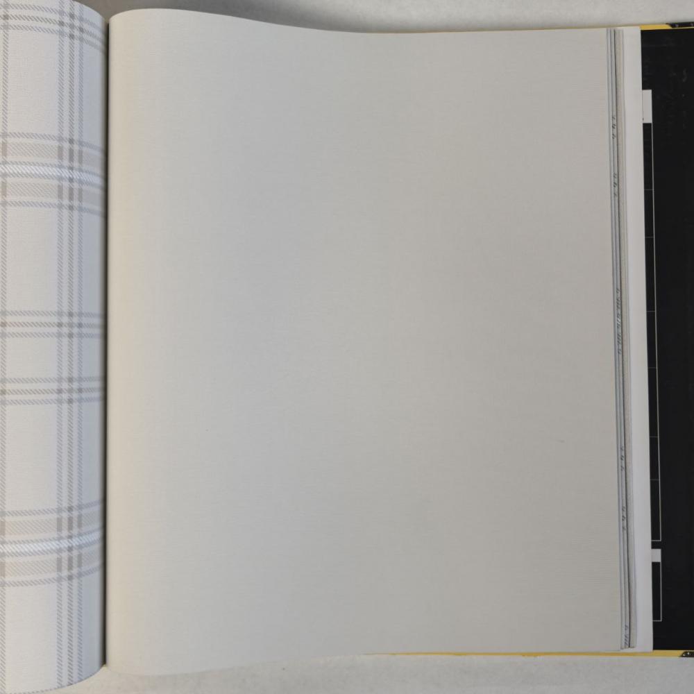 Andrea Rossi Cavolli 54416-1