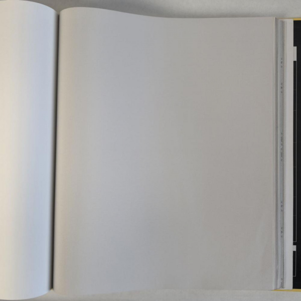 Andrea Rossi Cavolli 54418-5 Andrea Rossi Cavolli 54418-5