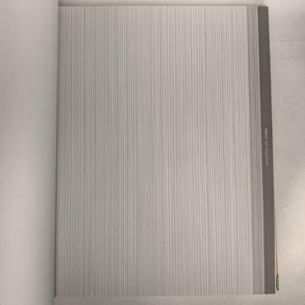 Andrea Rossi Berggi 54447-8