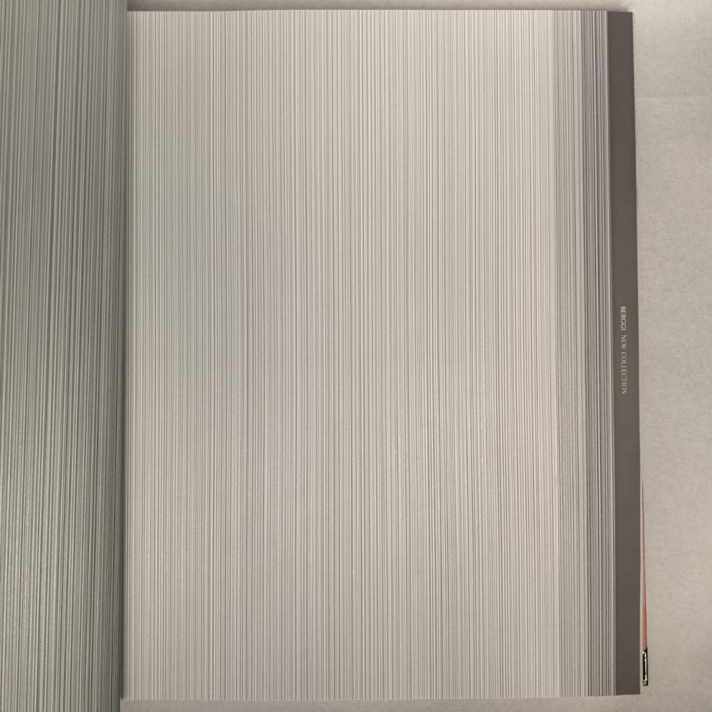 Andrea Rossi Berggi 54447-7