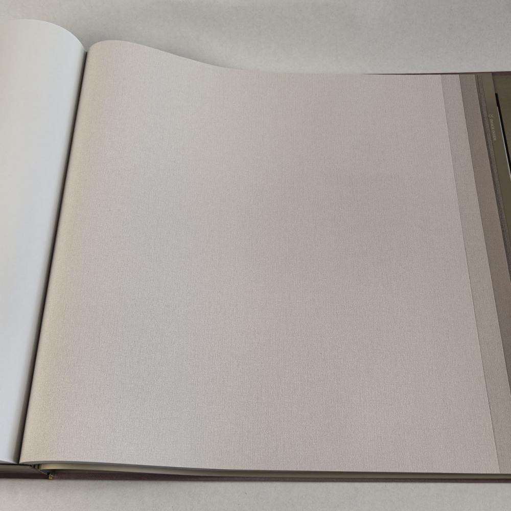 Alessandro Allori Bruni RBN 1004-7 Alessandro Allori Bruni RBN 1004-7